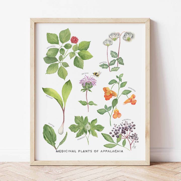 Medicinska växter i Appalachia Konsttryck för wholesale av MARISAMADE