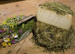 Il Mercante di Terra - Vendita all'ingrosso Formaggi - Formaggio di Capra al fieno1