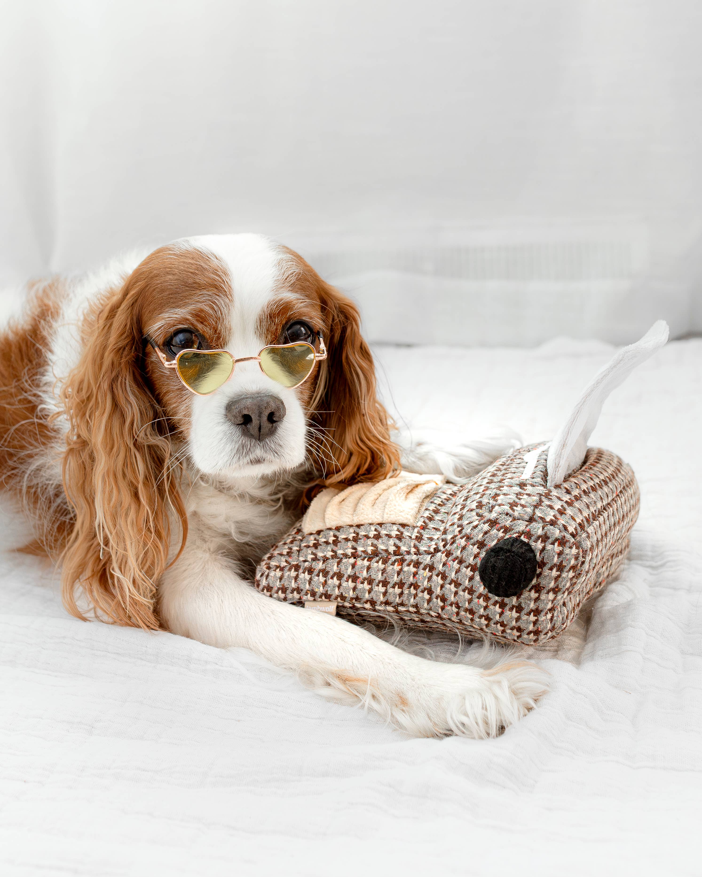 Lambwolf Collective - Wholesale Pet Toy - Dog - TYPEWRITER//ENRICHMENT DOG TOY 4