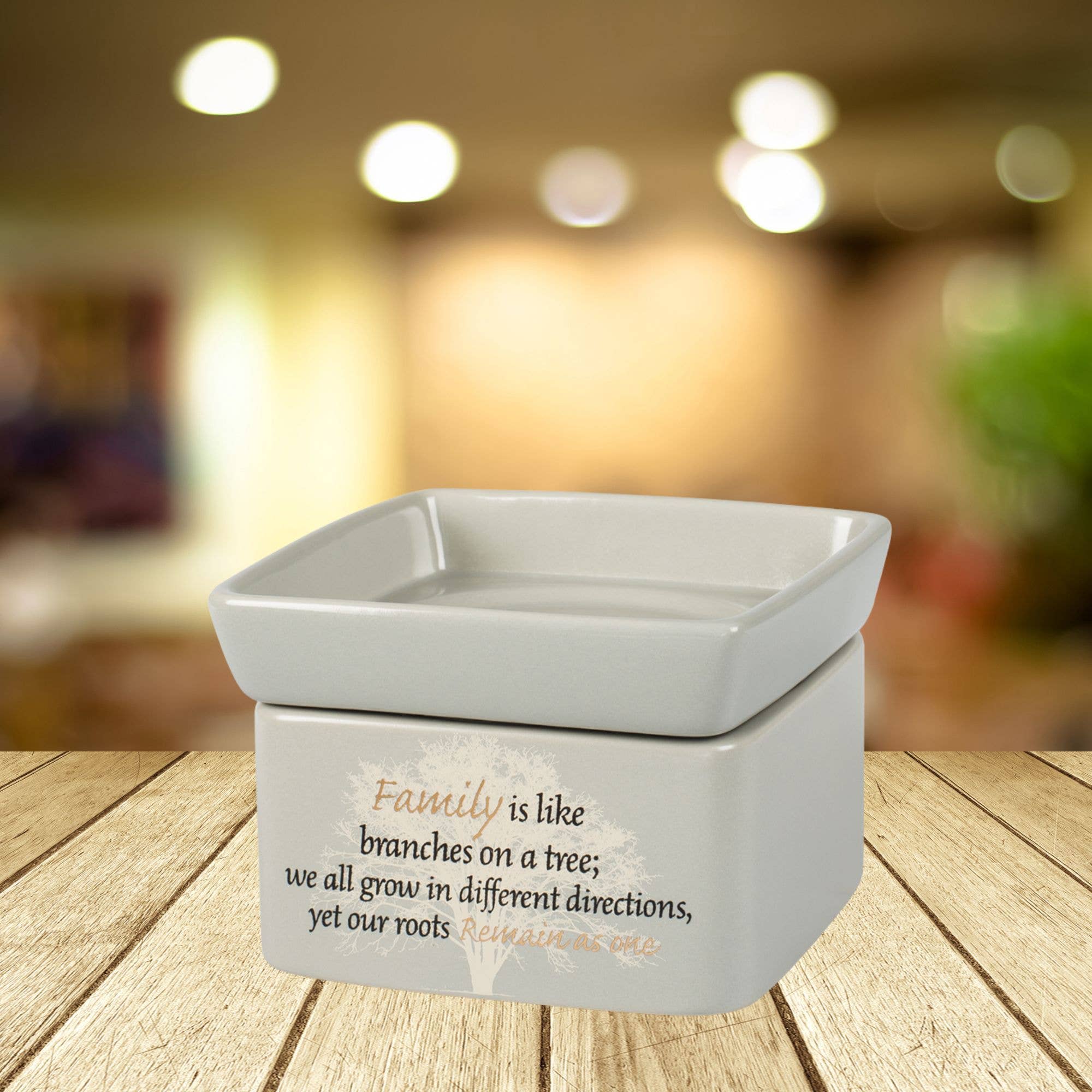 Dicksons - Wholesale Wax Warmer - Family 2-in-1 Warmer1