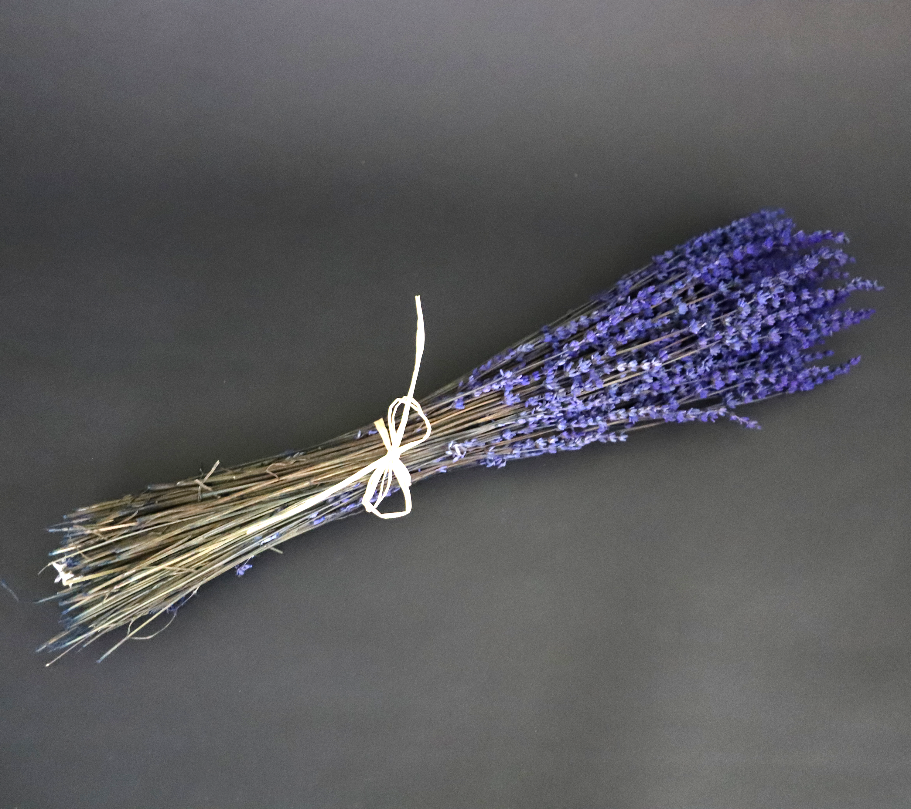 Kunstharz.Art – Flores secas/prensadas por atacado – Lavanda Seca com Aroma Simpático para Decoração e como Presente9