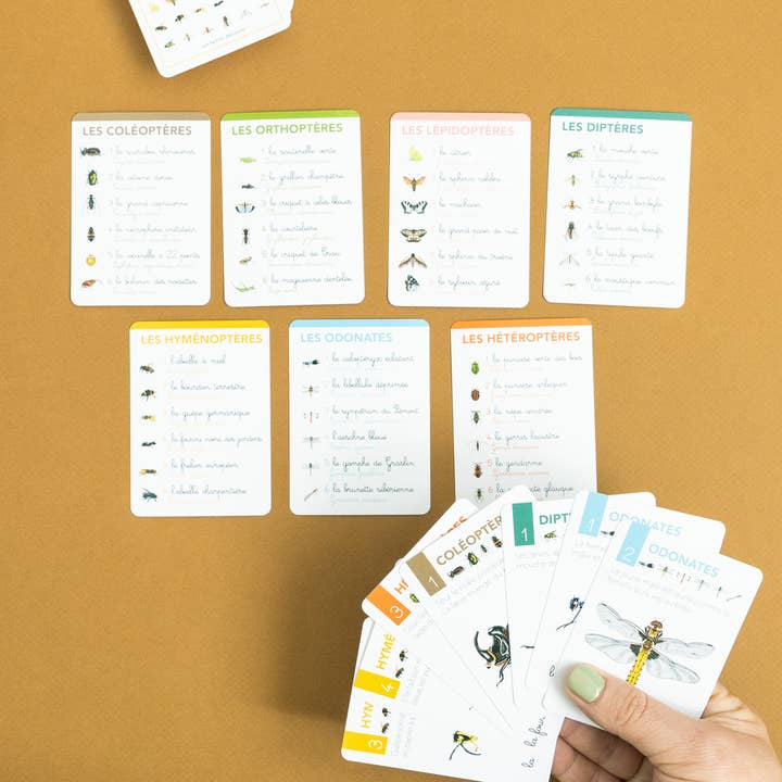 Les Petits Zécolos - Wholesale Playing Cards - Game of 7 families on the orders of insects3