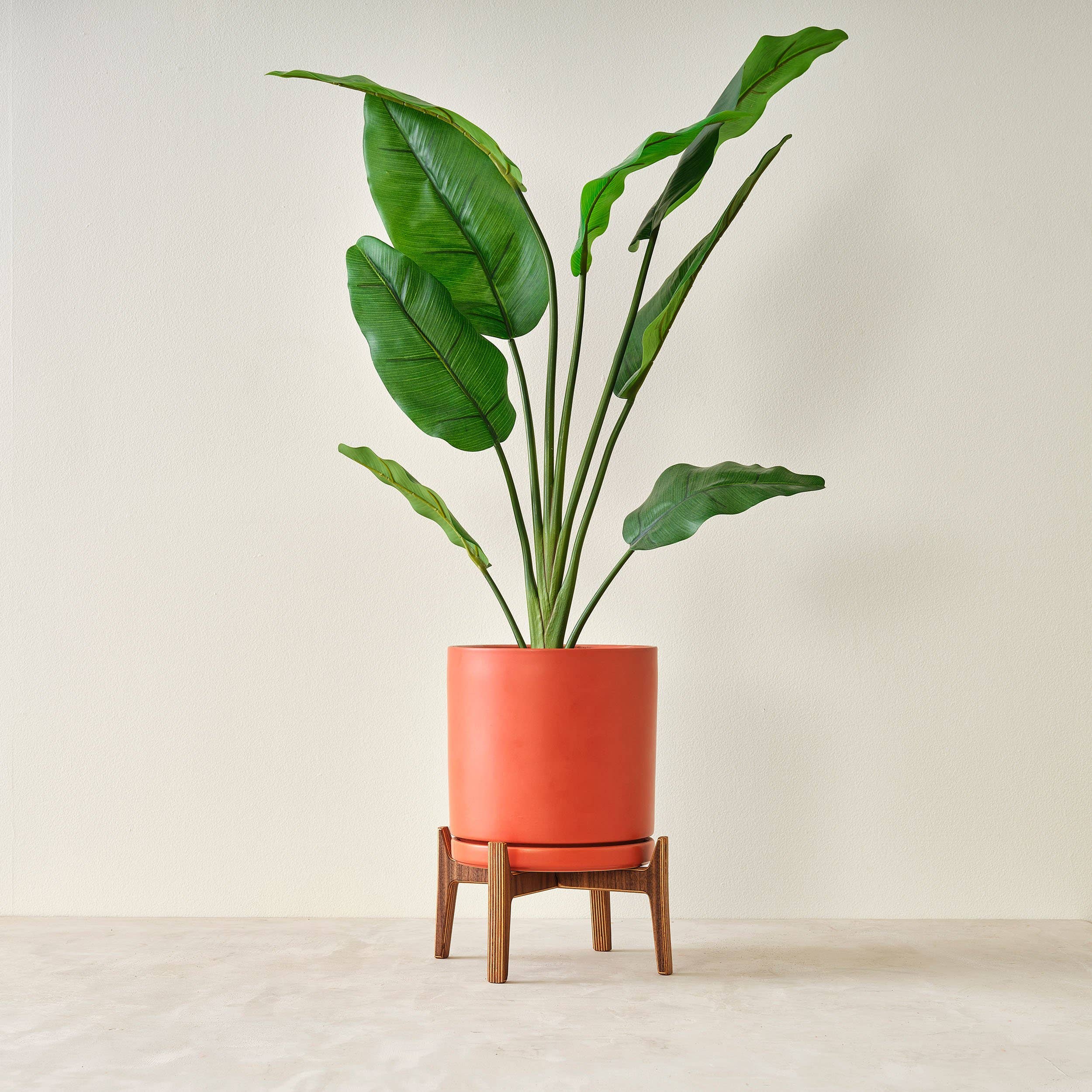 Relic Modern™ | Furniture & Objects - Wholesale Plant Pot Stand - Minimalist Walnut Plant Stand - (4", 6", 8", 10", 12")11