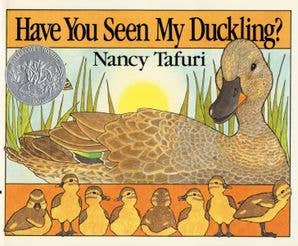 HarperCollins - Wholesale Baby & Toddler Book (0-2) - Have You Seen My Duckling? : Nancy Tafuri0