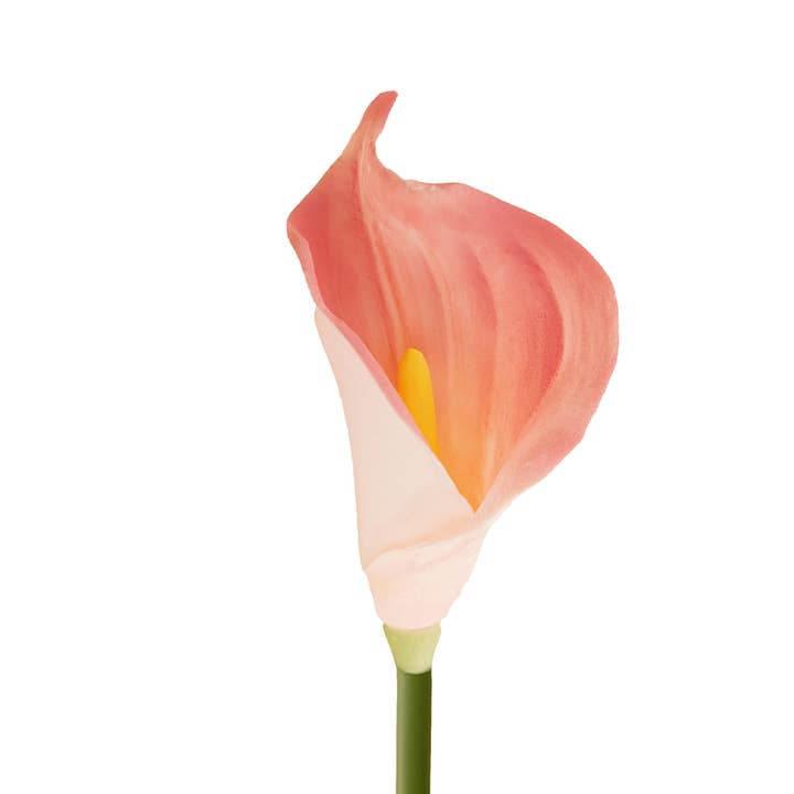 Sun Decorer - Wholesale Artificial Flowers - 26 inch Tall Artificial Calla lily Flower Stems (Set of 3)