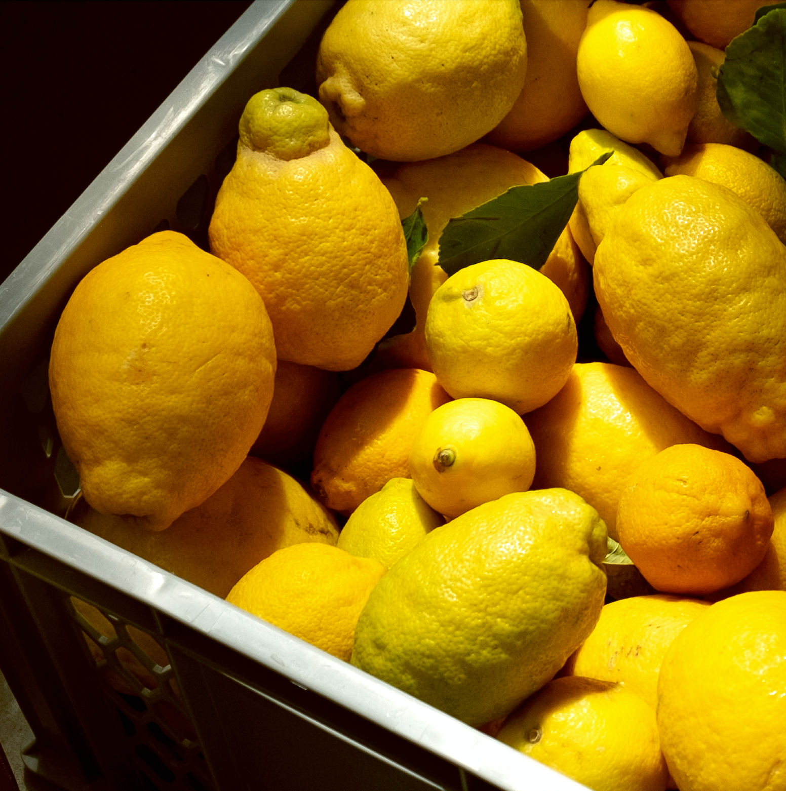 ODE - Wholesale Vermouth/Aperitif - ODE – Bright Lemon8