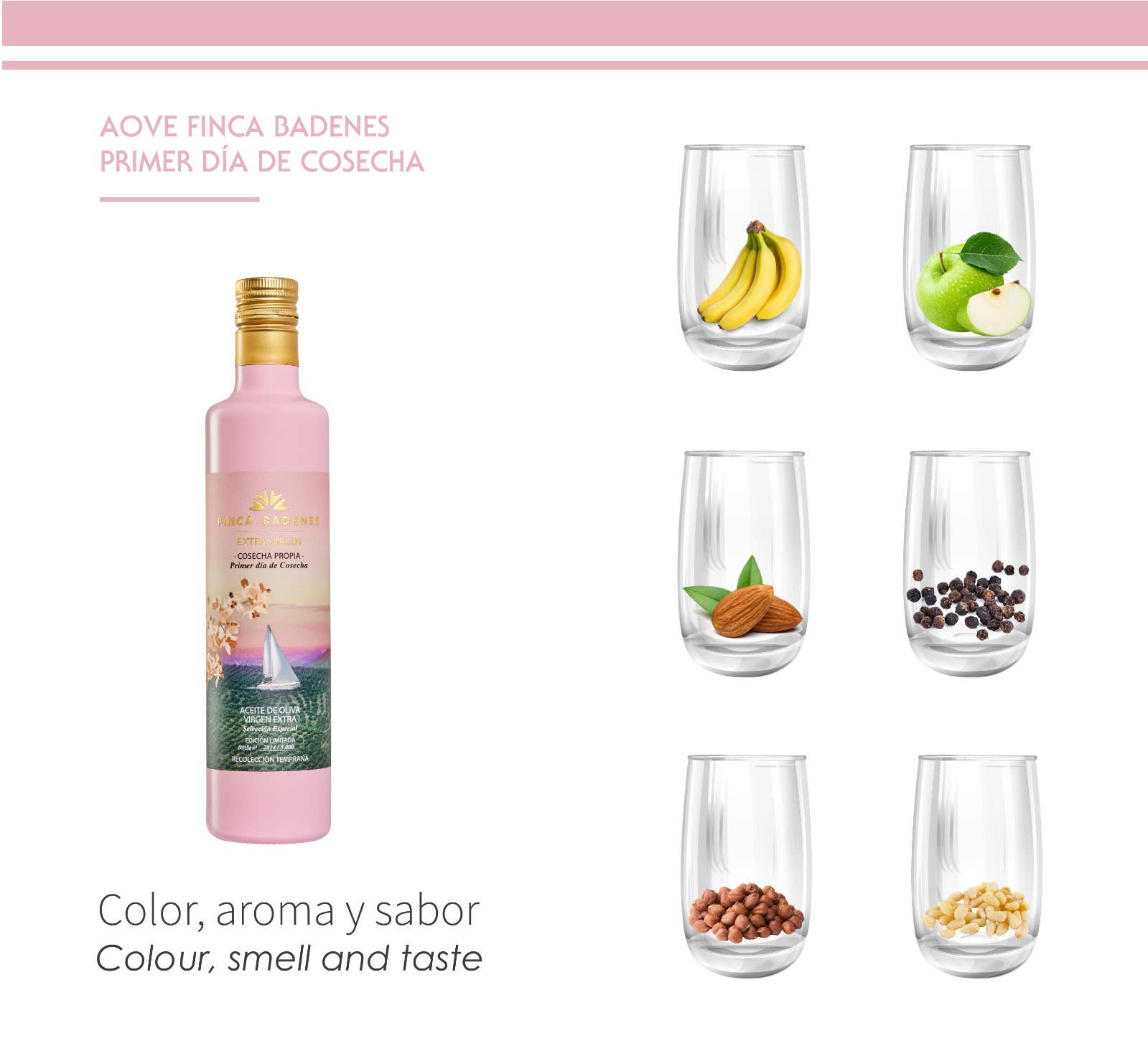 AIRES DE JAEN - Wholesale Olive Oil - PACK 12 x 500ml EVOO First Day of Harvest LIMITED EDITION3