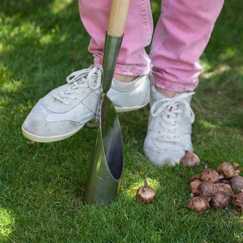 Burgon & Ball - Wholesale Plant Pot - RHS L/Handled Bulb Planter