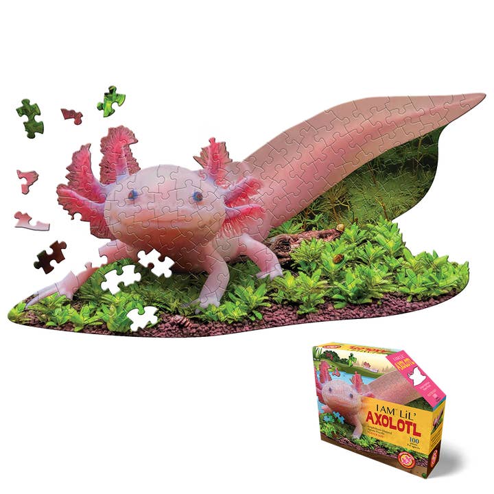I AM 'LiL AXOLOTL 100 piece kids jigsaw puzzle - great gift! and other Purchase Wholesale lego puzzle. Free Returns & Net 60 Terms on Faire trending on Faire.