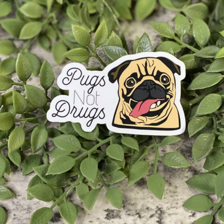 Pugs Not Drugs Vinyl Sticker 5-Pack for wholesale by Beautiful Mind Design