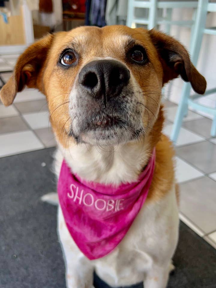 Organic Bandana for wholesale by Guppi