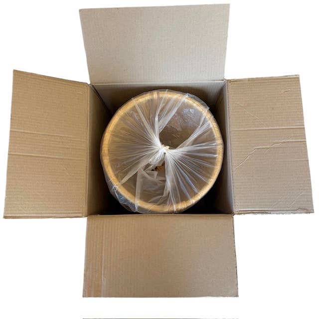 Asia West - Wholesale Plant Pot - Natural Rattan & Bamboo Standing Planter3