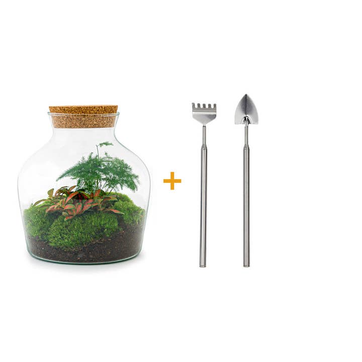 Trendhero.nl/b2b – Engroshandel DIY-hobbysæt – Terrarium DIY-sæt - Little Joe - Flaskehave - ↑ 21,5 cm