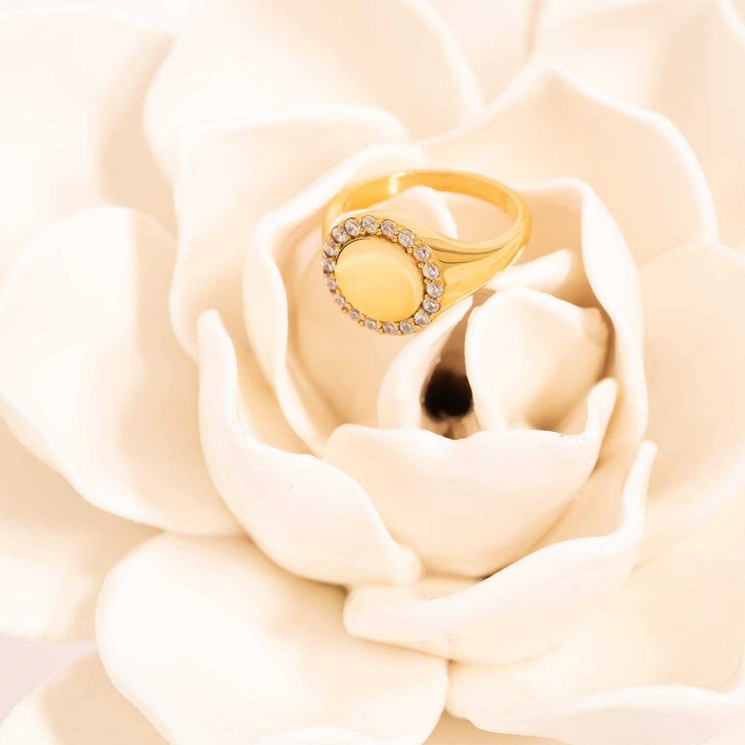 WJW - Vendita all'ingrosso Anelli con sigillo - Anello con Sigillo in Acciaio Inossidabile PVD Oro 18K con Pietre3