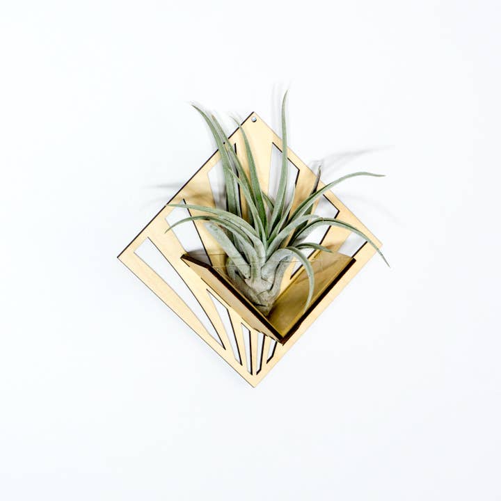 LIGHT RAZOR DESIGN STUDIO - Wholesale Wall planter - Air Plant Holder / Quadrate Wall Hanging Planter 2100