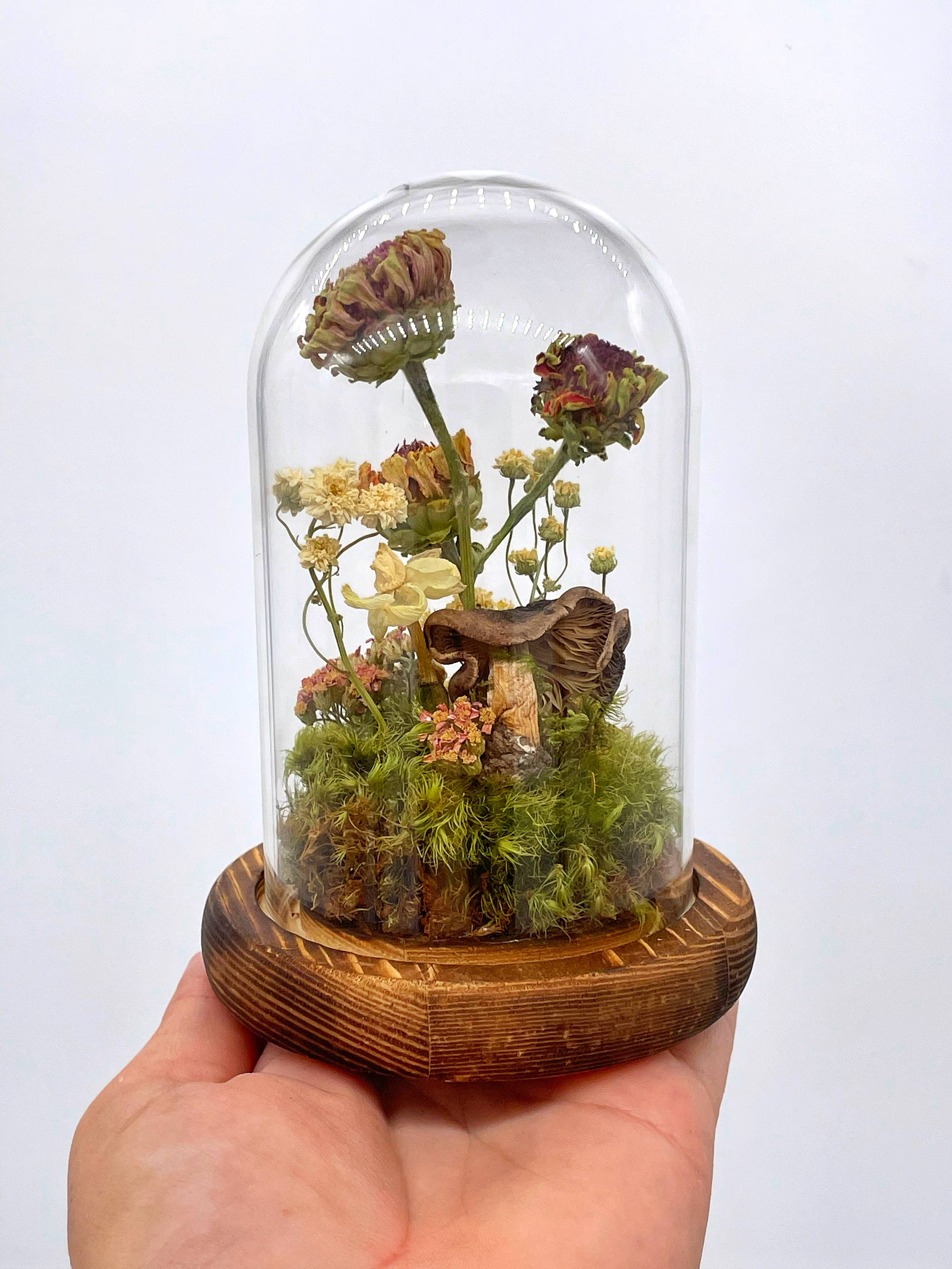 Right Side Hand - Vente Terrariums - Terrarium cloche avec fleurs séchées de zinnia0