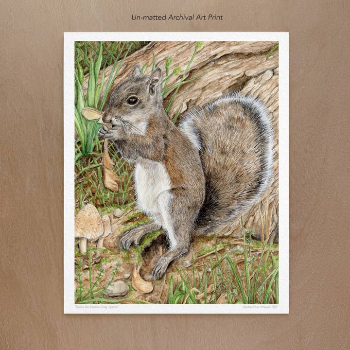 Eastern Gray Squirrel Art Print for wholesale by Rachael Bee Artwork