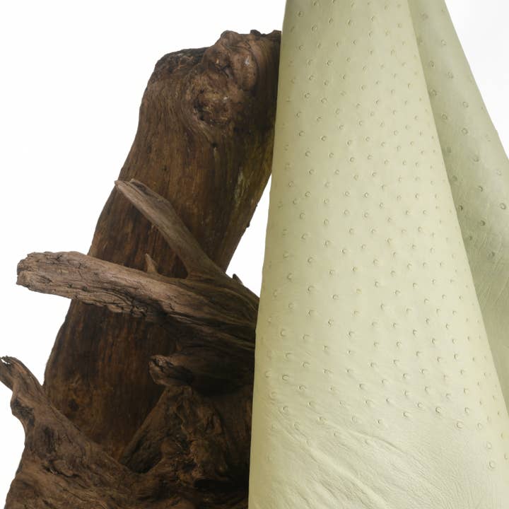 Green Almond Ostrich Leather for wholesale by MAISON SOLER TANNERIE