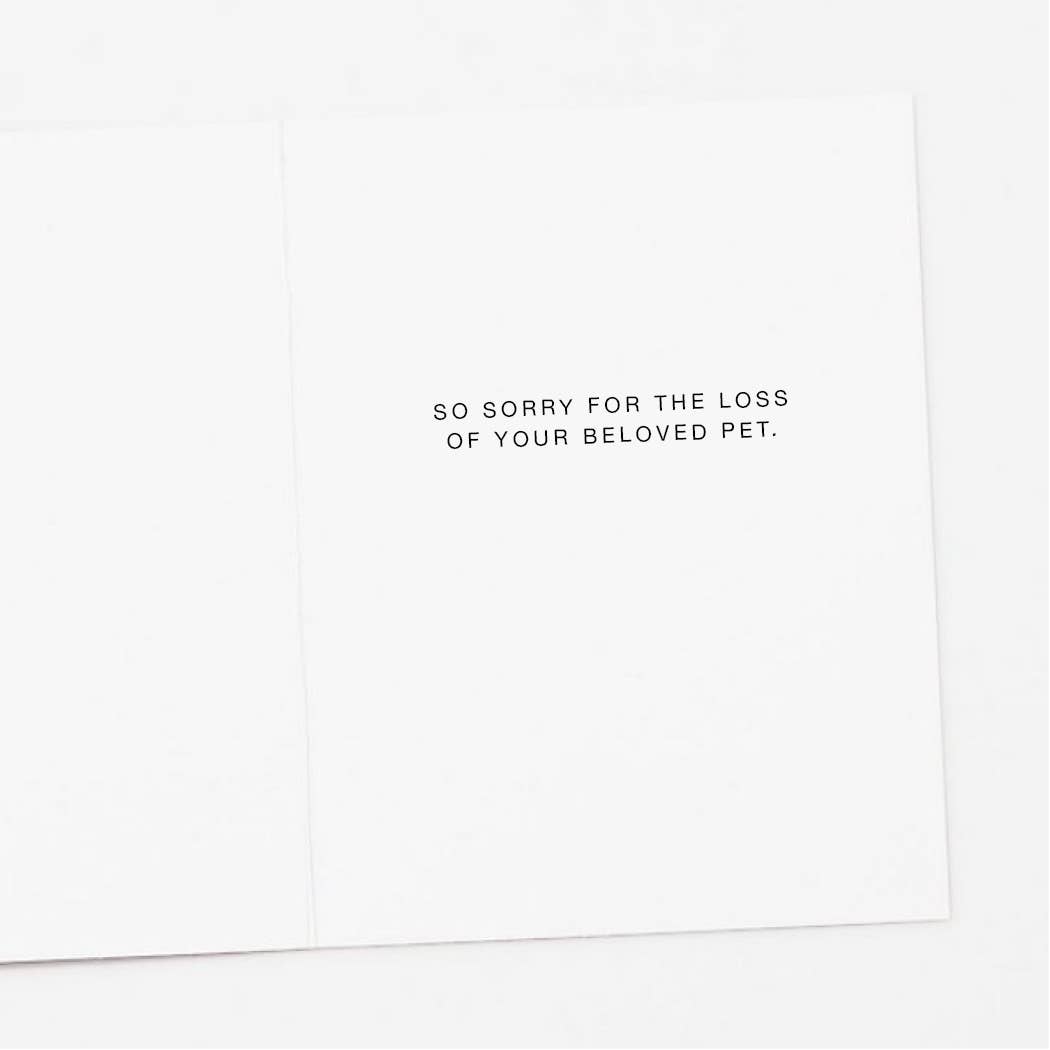 Apartment 2 Cards - Wholesale Sympathy Card - Sorry Cats Pet Sympathy Card1