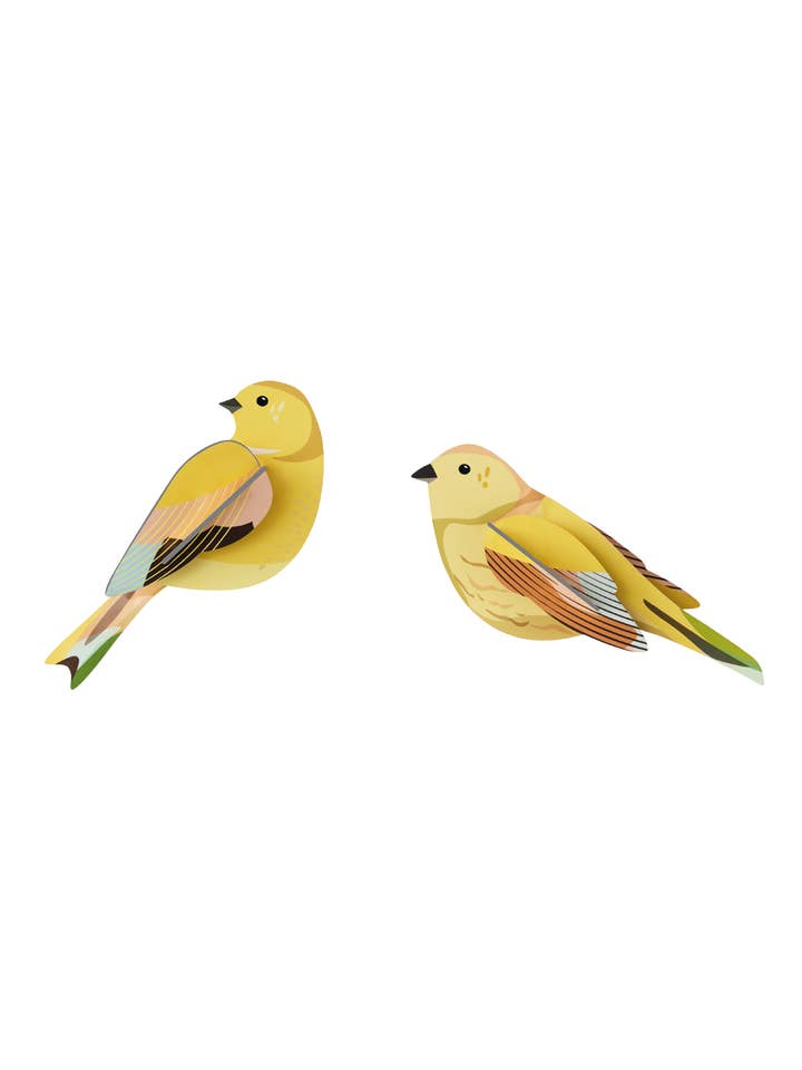 3D Wall Art - Garden Birds - Citrinella Pair for wholesale by Studio Roof