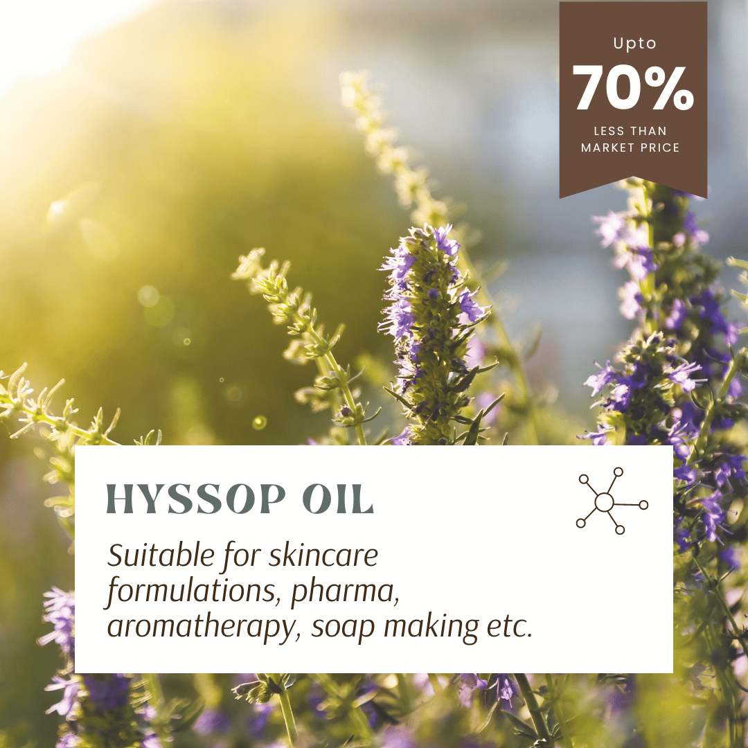 Aromachology - Wholesale Essential Oil - Hyssop Essential Oil1