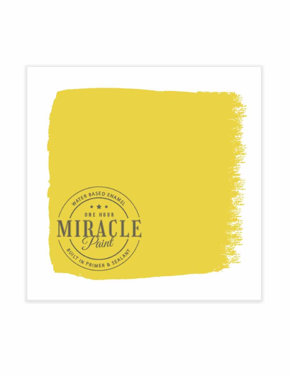 Amy Howard at Home - Wholesale Paint Set - Miracle Paint (32 oz.)89