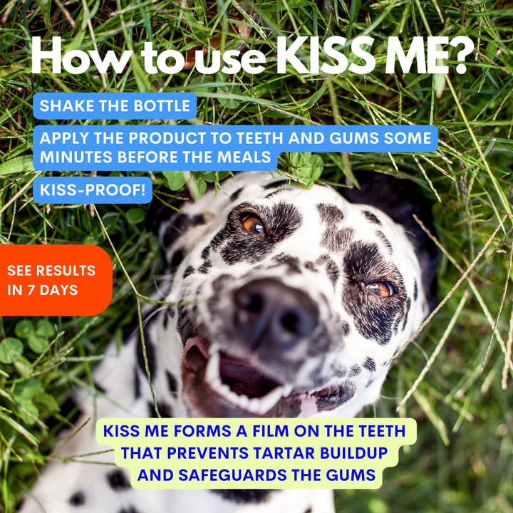 JAMPY - Wholesale Pet Toothpaste - Dog - Kiss Me - Natural Dental Spray to Fight Halitosis for Dogs