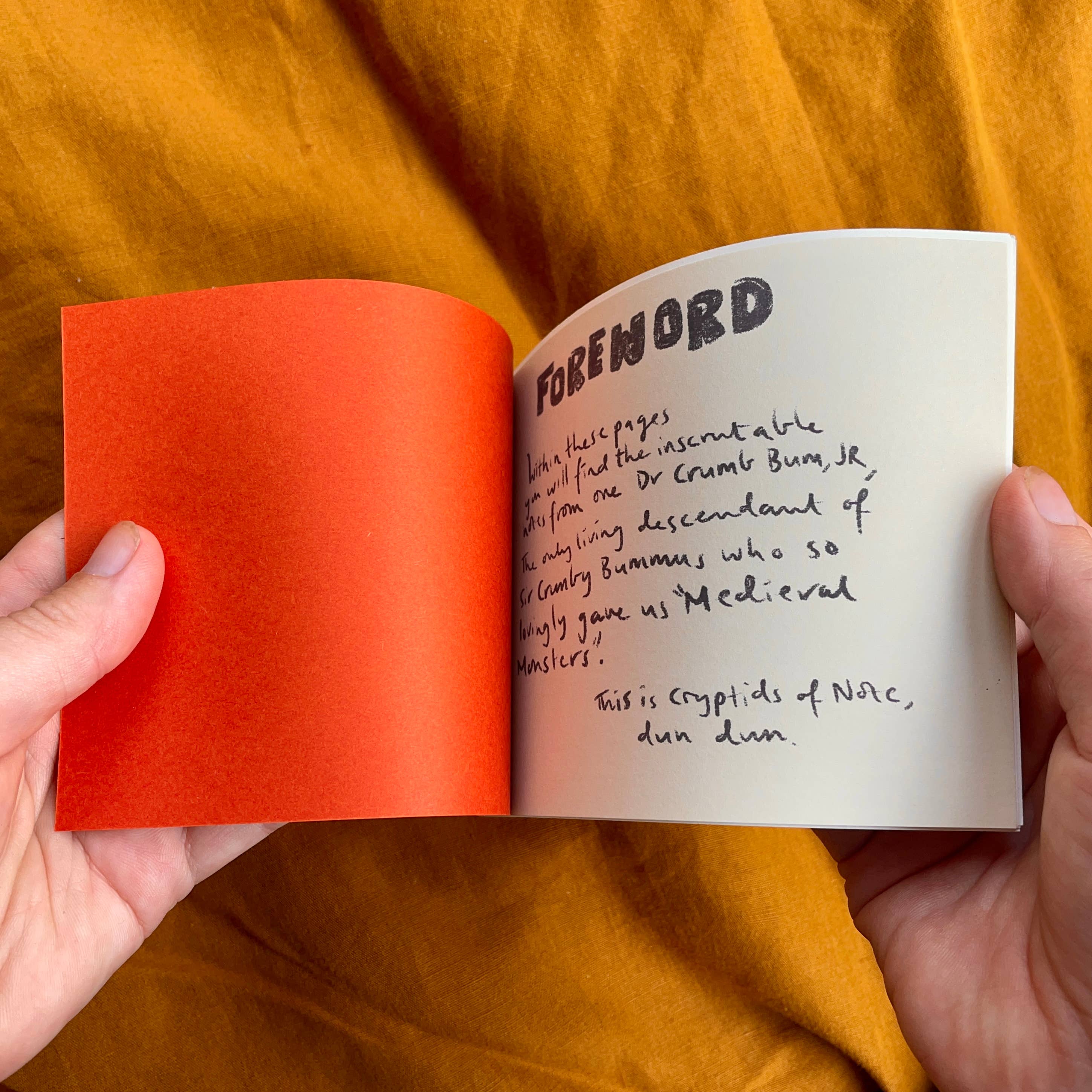 Ashlea Bechaz Illustration - Wholesale Magazine - Zine - Cryptids of Note1