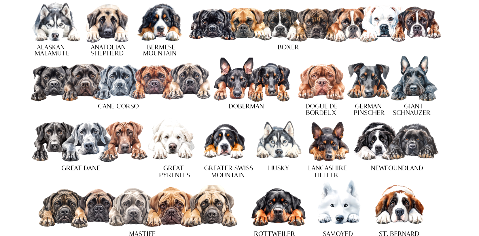 Storms Style – wholesale Tote bag – Unisex – Dog Tote Bag - 308 Designs 4