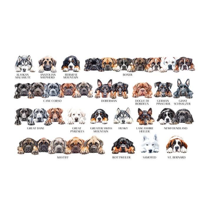 Storms Style – wholesale Tote bag – Unisex – Dog Tote Bag - 308 Designs 4