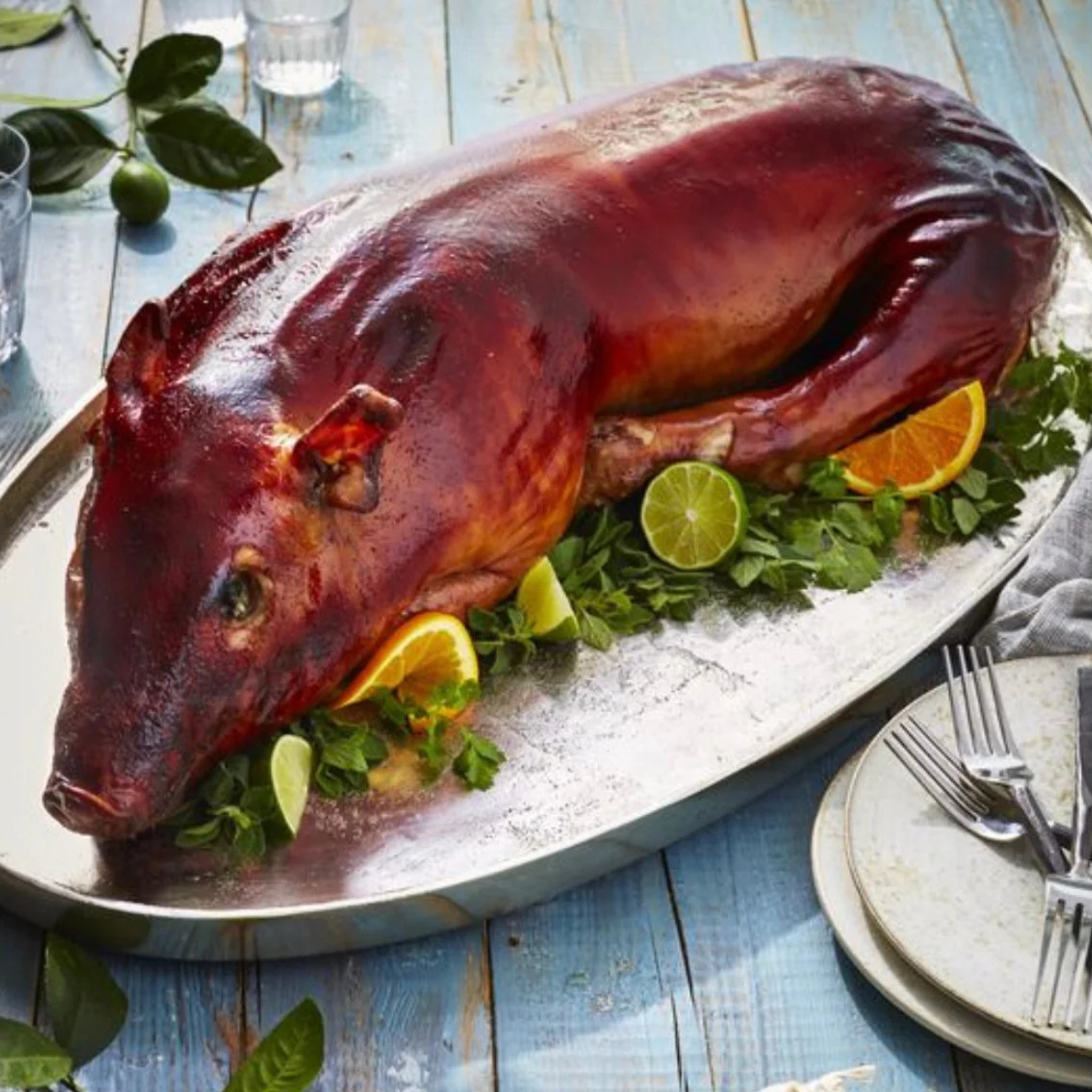 Alta Gama Foods - Wholesale Varkensvlees - Piglet 'Lechon' Iberico (Speenvarken) ~ 5 kg0