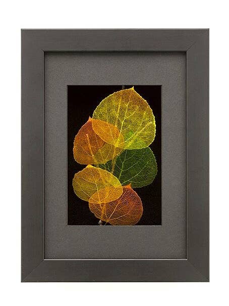 Shadowbox 5x7 for wholesale by Leaf Lines