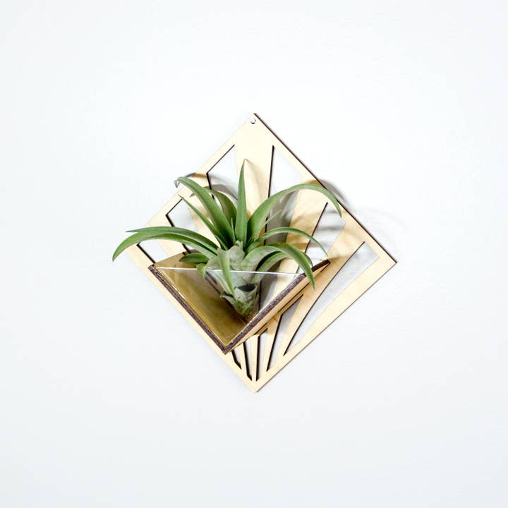 LIGHT RAZOR DESIGN STUDIO - Wholesale Wall planter - Air Plant Holder / Quadrate Wall Hanging Planter 2112