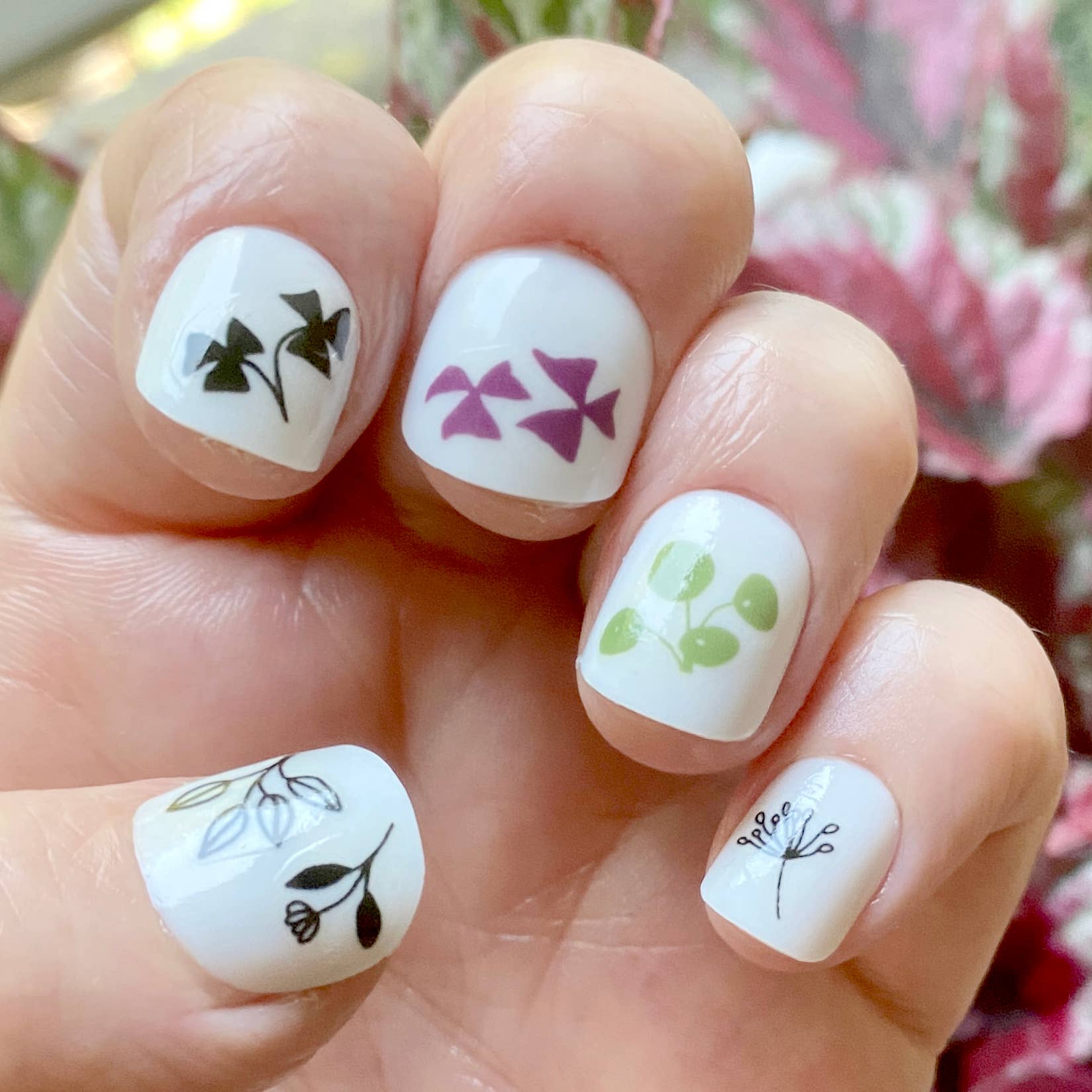 Kate Broughton - Wholesale Nail Art/Decal - Plant Nail Art Transfers3