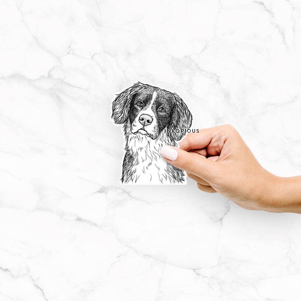 Inkopious - Wholesale Sticker - Dulce the Drentsche Patrijshond - Decal Sticker0