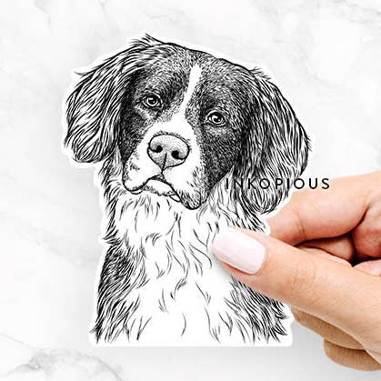 Inkopious - Wholesale Sticker - Dulce the Drentsche Patrijshond - Decal Sticker0