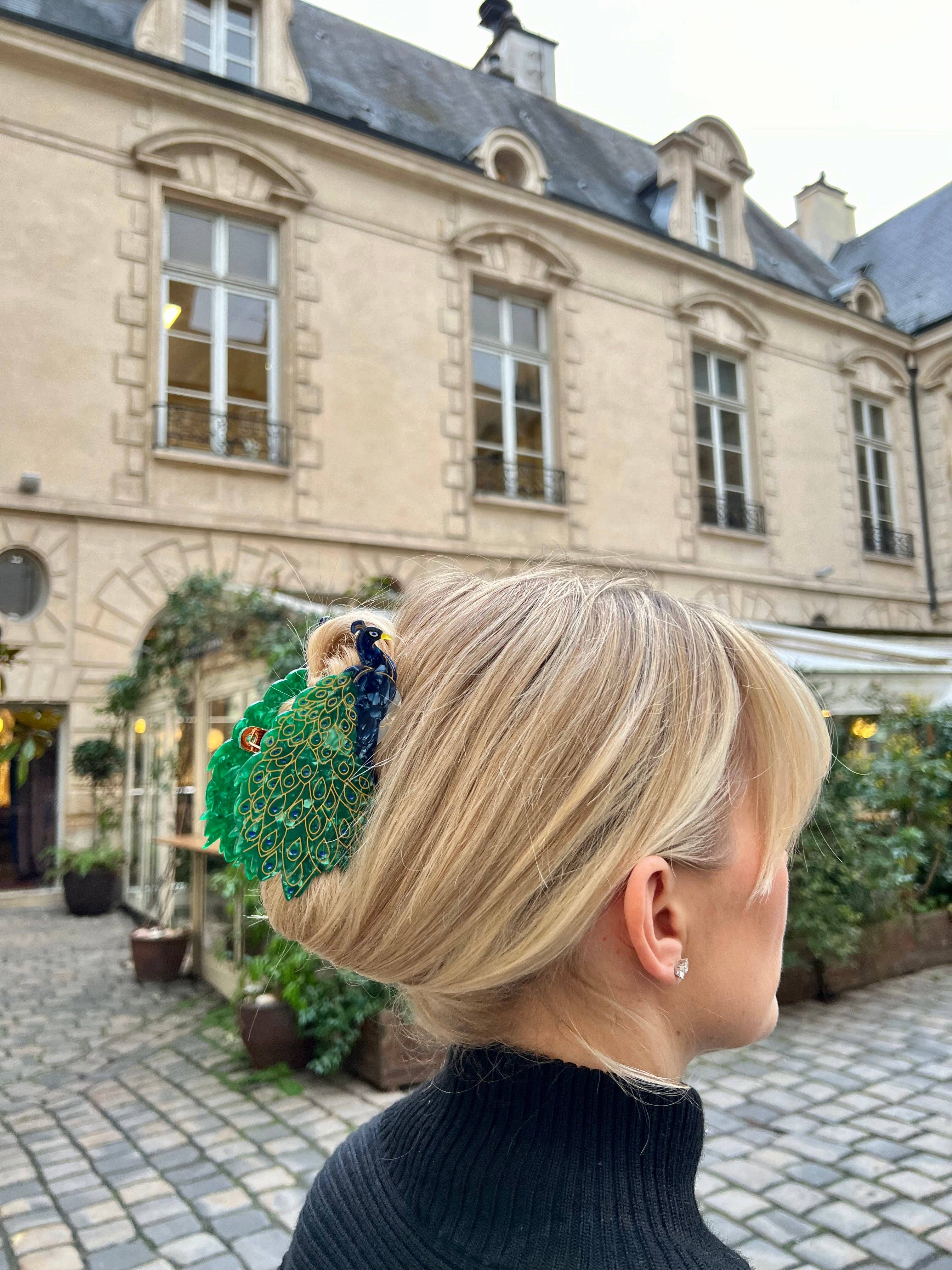 Solar Eclipse - Wholesale Hair Clip - Women's - Hand-painted Peacock Bird Claw Hair Clip | Eco-Friendly2