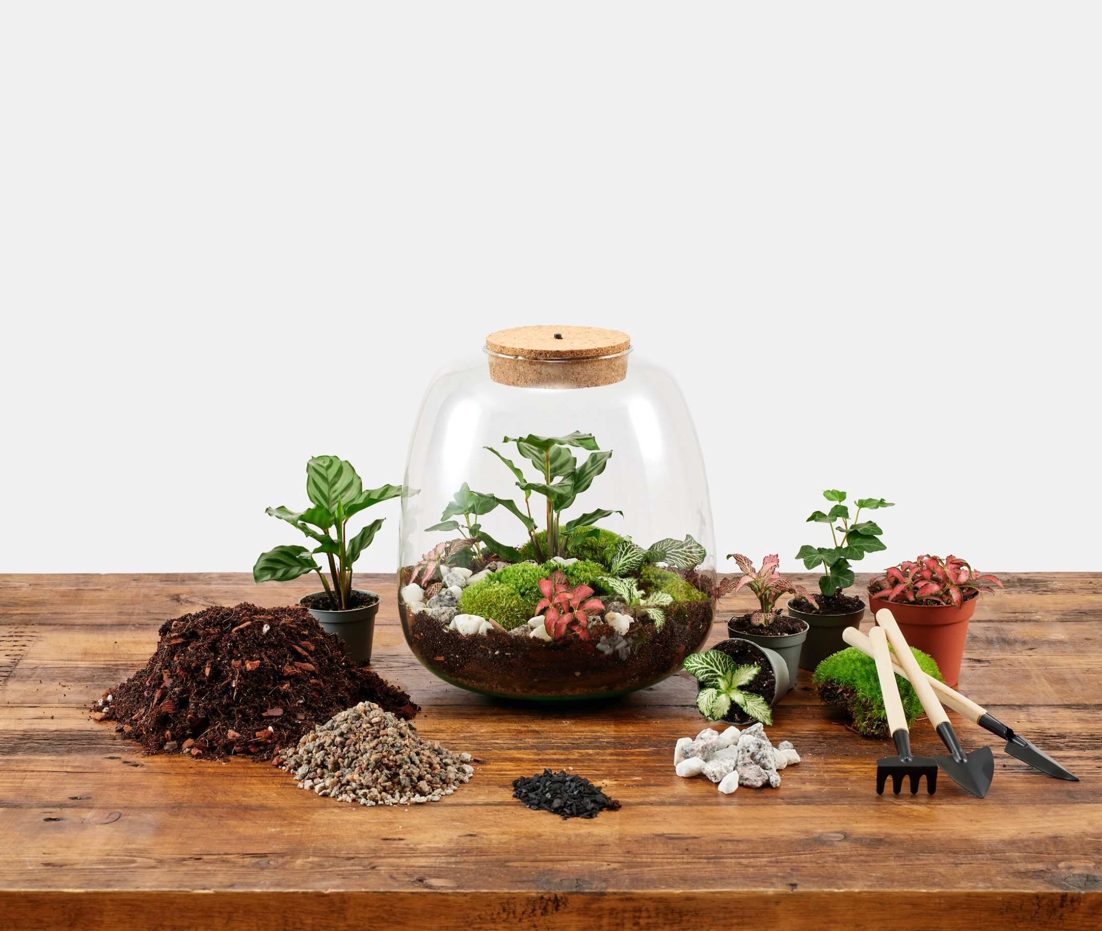 Underglass Terrariums - Wholesale Terrarium - Groot terrariumset met LED kurkdop1