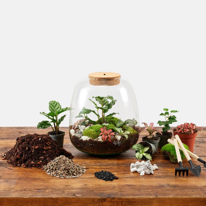 Underglass Terrariums β wholesale Terrarium β Large LED Terrarium Kit1