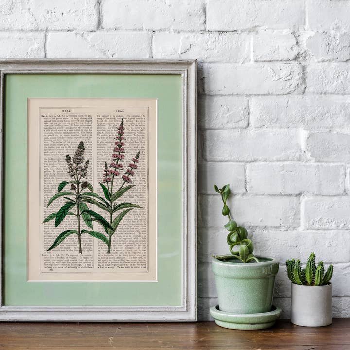 Mint Aromatic plant Wild Flower Art for wholesale by PRRINT!