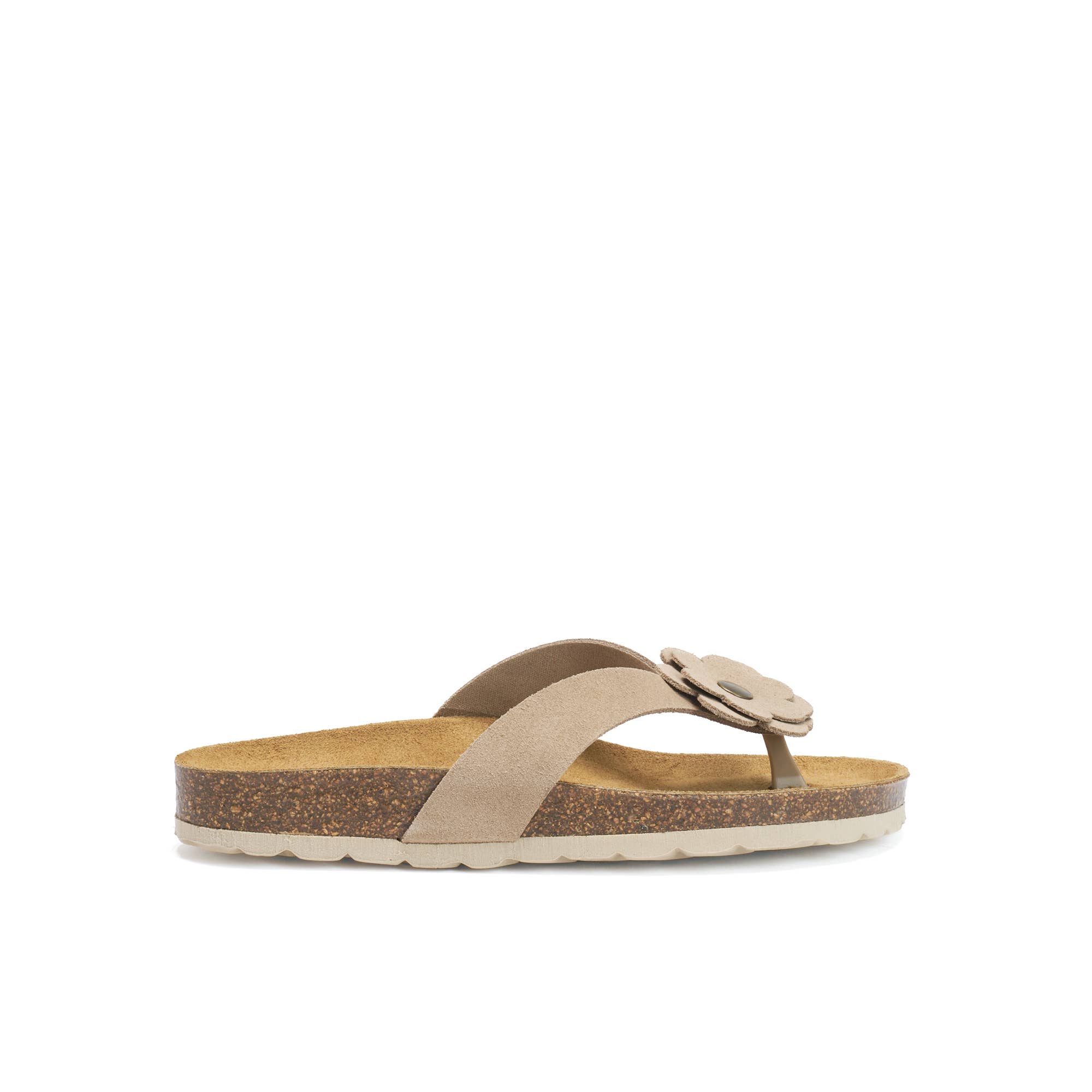 Mandél - Wholesale Flip Flops - Women's - Brown thong sandal - Art.MD31130