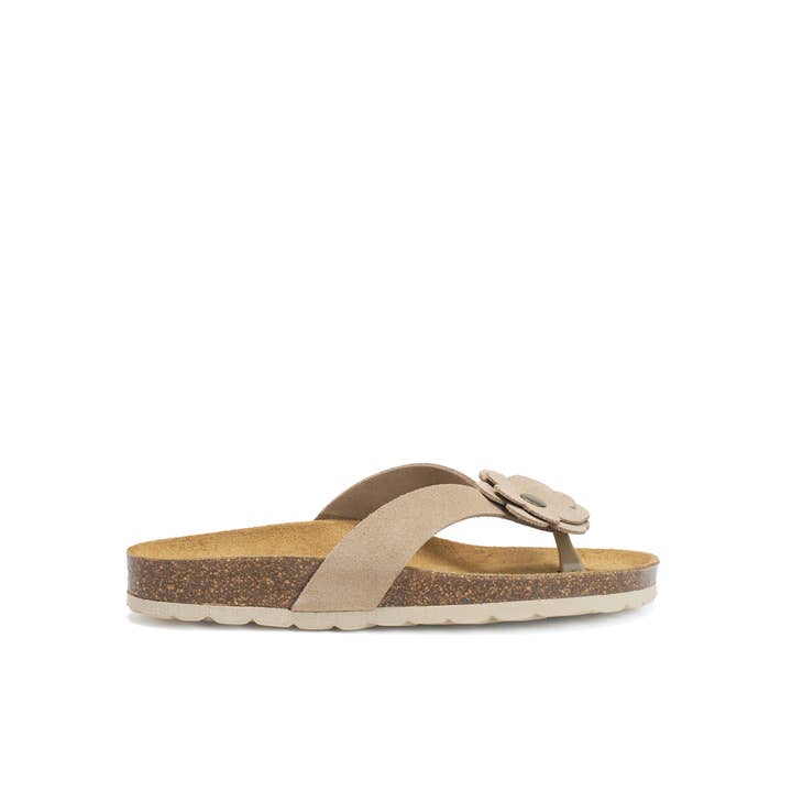 Mandél - Vendita all'ingrosso Infradito - Donna - Sandalo infradito marrone - Art.MD3113