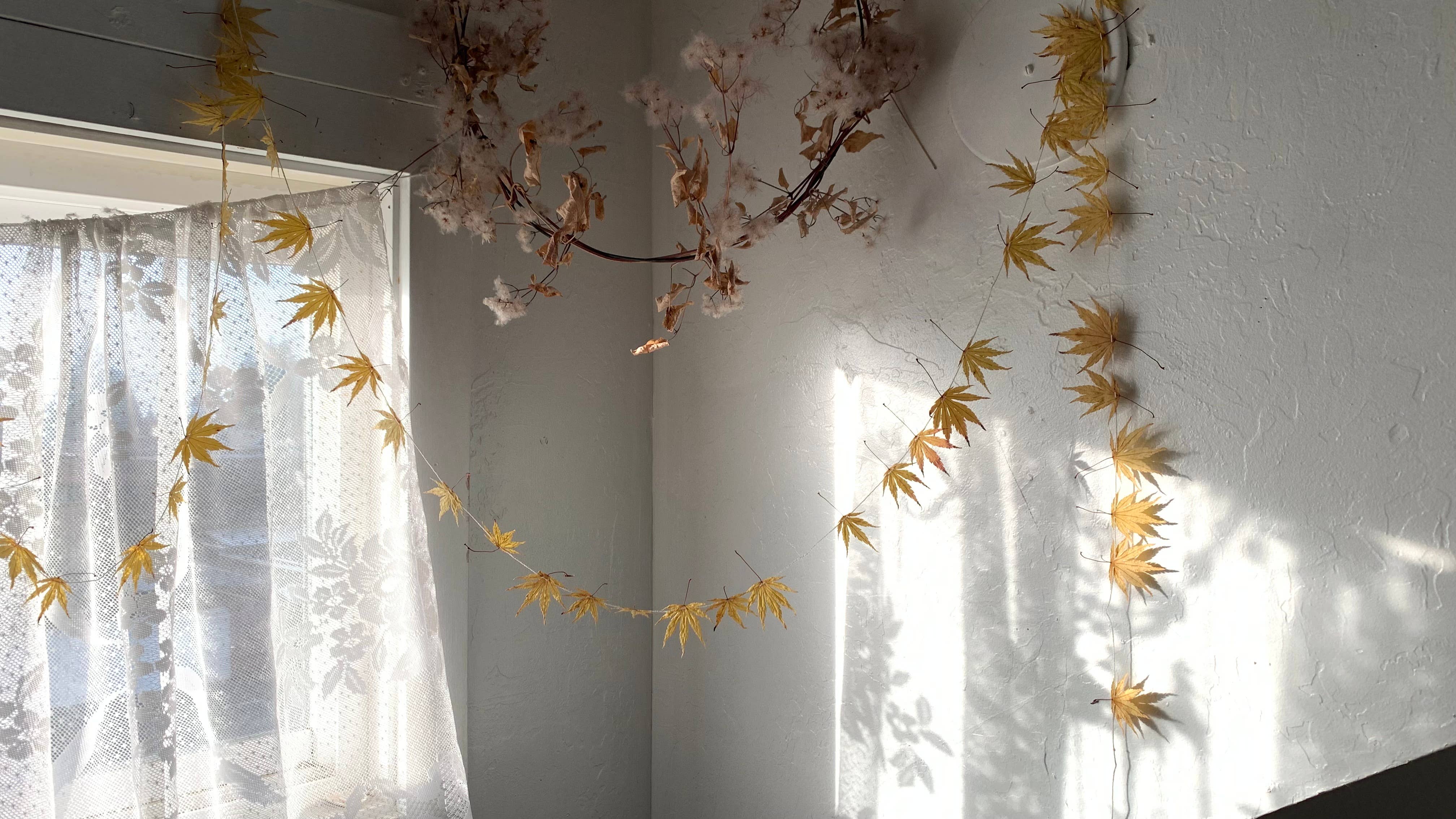 Twig and Snip - Wholesale Bunting/Garland - Dried Japanese Maple Leaf Garland GOLDEN- Natural Decor9