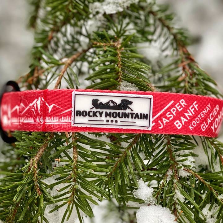 Rocky Mountain Dog – Großhandel Haustierhalsband – Hund – Canadian Rockies Hundehalsband1