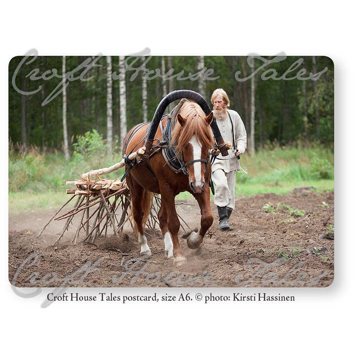 Risukarhi And Finnish Horse, Torpa Stories® Postcard for wholesale by Paperisilppuri