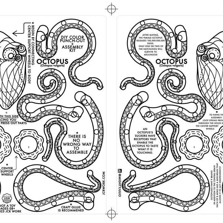 MOLLUSCA : DIY COLOR OCTOPUS for wholesale by JCR WORK