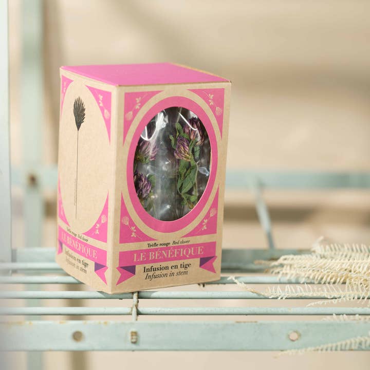 LE BENEFIQUE – wholesale Live plant – Red clover 16 stems