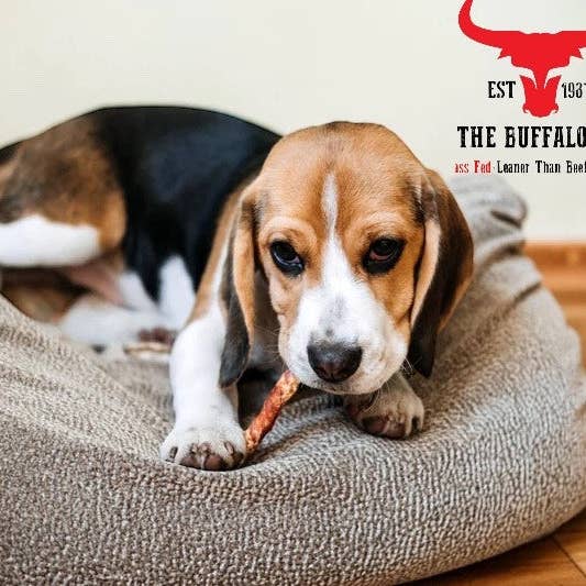 The Buffalo Co. – wholesale Pet treats – Dog – Buffalo Tail-Dog Treats-200g1