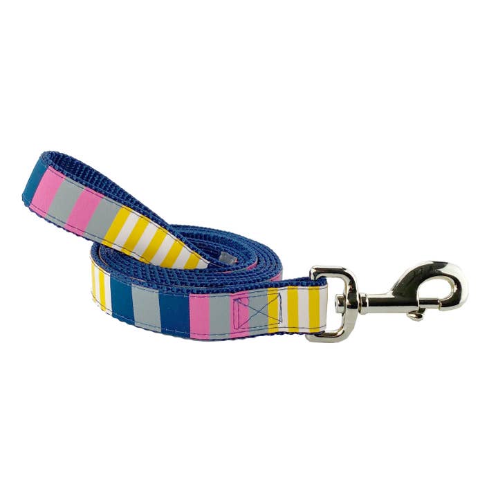 Sunshine Stripe - Dog Leash for wholesale by Dog & Me