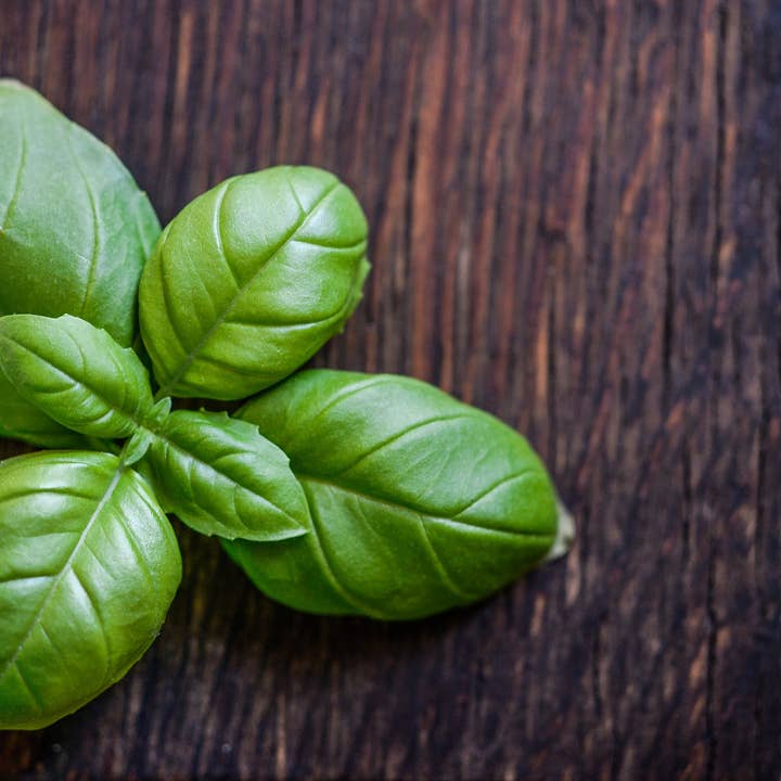 Le Colline UG - Wholesale Pesto - Pesto Basil | 180g - 6.35 oz